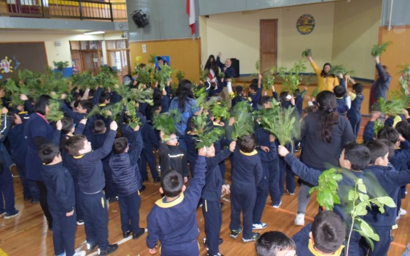 Estudiantes de Pre Kinder a 2° básicos bendicen ramos en recuerdo de la Semana Santa