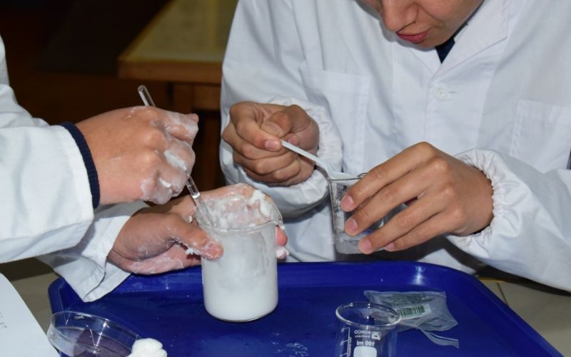 “Del juego al laboratorio”. Estudiantes replican popular juego